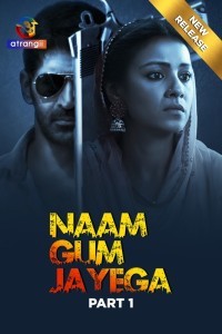 Naam Gum Jayega (2024) Season 1 Hindi Web Series